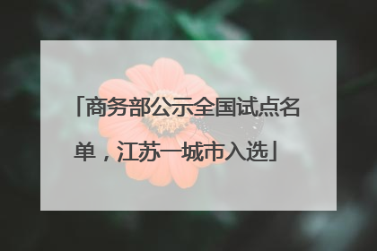 商务部公示全国试点名单，江苏一城市入选