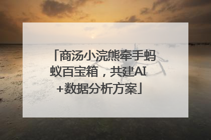 商汤小浣熊牵手蚂蚁百宝箱，共建AI+数据分析方案