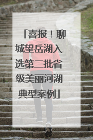 喜报！聊城望岳湖入选第二批省级美丽河湖典型案例