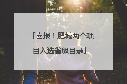 喜报！肥城两个项目入选省级目录