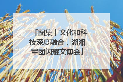 图集丨文化和科技深度融合，湖湘军团闪耀文博会