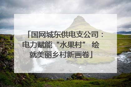 国网城东供电支公司：电力赋能“水果村” 绘就美丽乡村新画卷