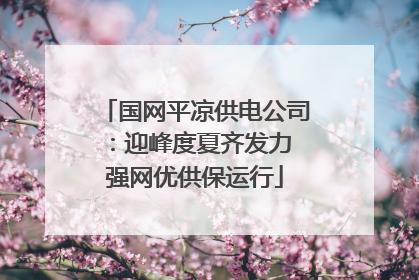 国网平凉供电公司：迎峰度夏齐发力 强网优供保运行