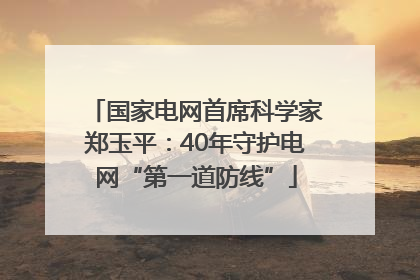 国家电网首席科学家郑玉平：40年守护电网“第一道防线”