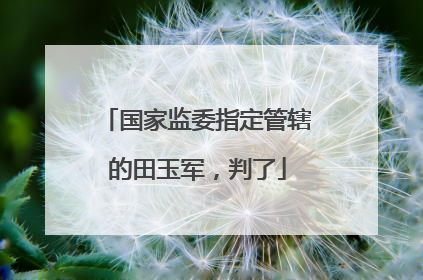 国家监委指定管辖的田玉军，判了