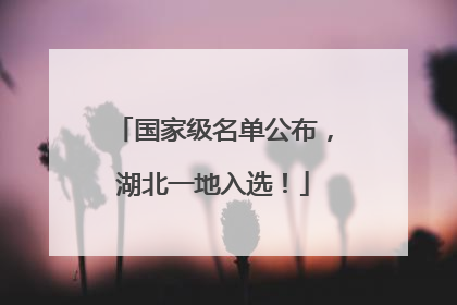 国家级名单公布，湖北一地入选！