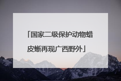 国家二级保护动物蜡皮蜥再现广西野外