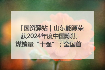 国资驿站｜山东能源荣获2024年度中国炼焦煤销量“十强”；全国首例铁路盖上智慧物流园钢结构主体完工