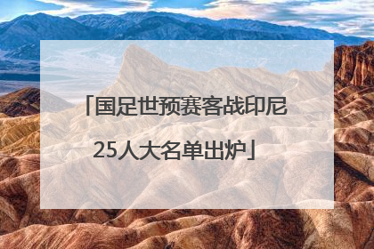 国足世预赛客战印尼25人大名单出炉