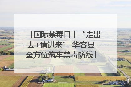 国际禁毒日丨“走出去+请进来” 华容县全方位筑牢禁毒防线