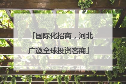 国际化招商，河北广邀全球投资客商