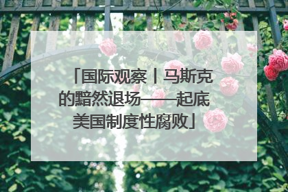 国际观察丨马斯克的黯然退场——起底美国制度性腐败