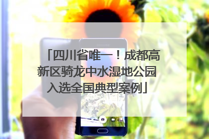 四川省唯一！成都高新区骑龙中水湿地公园入选全国典型案例