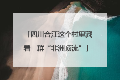 四川合江这个村里藏着一群“非洲顶流”