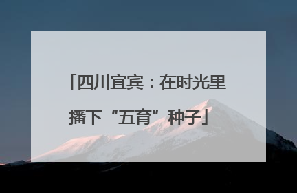 四川宜宾：在时光里播下“五育”种子