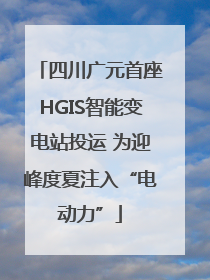 四川广元首座HGIS智能变电站投运 为迎峰度夏注入“电动力”