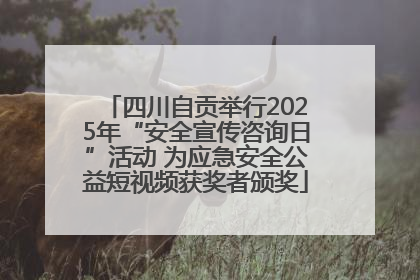 四川自贡举行2025年“安全宣传咨询日”活动 为应急安全公益短视频获奖者颁奖