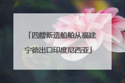 四艘新造船舶从福建宁德出口印度尼西亚