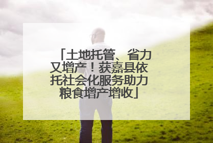 土地托管、省力又增产！获嘉县依托社会化服务助力粮食增产增收