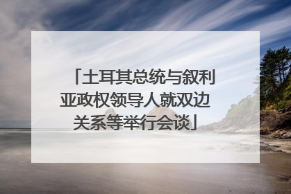 土耳其总统与叙利亚政权领导人就双边关系等举行会谈