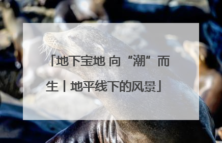 地下宝地 向“潮”而生丨地平线下的风景