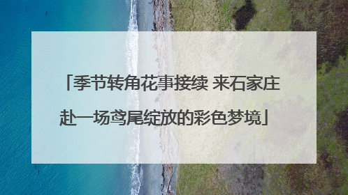 季节转角花事接续 来石家庄赴一场鸢尾绽放的彩色梦境