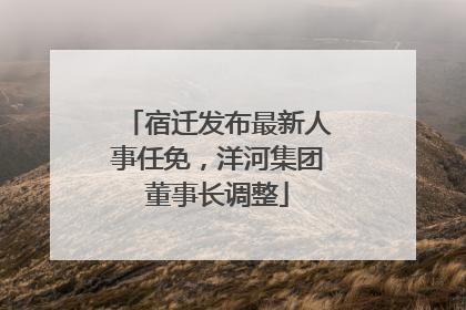 宿迁发布最新人事任免，洋河集团董事长调整