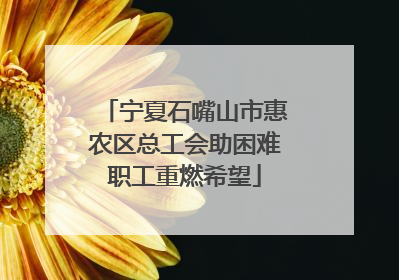 宁夏石嘴山市惠农区总工会助困难职工重燃希望