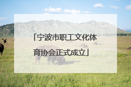 宁波市职工文化体育协会正式成立