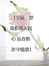 宁远：禁毒拒毒入民心 反诈防诈守钱袋