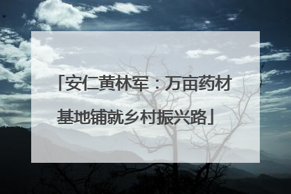 安仁黄林军：万亩药材基地铺就乡村振兴路
