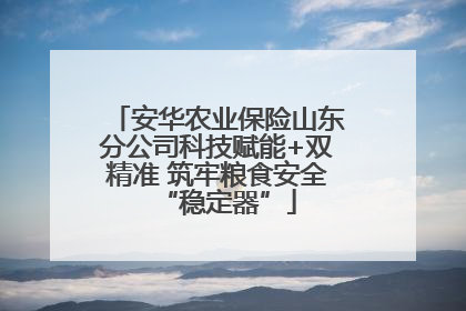 安华农业保险山东分公司科技赋能+双精准 筑牢粮食安全“稳定器”