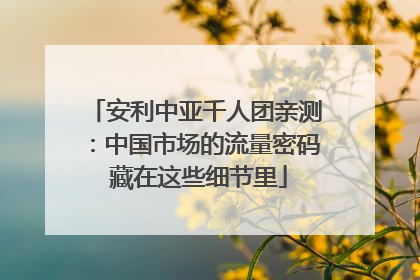 安利中亚千人团亲测：中国市场的流量密码 藏在这些细节里