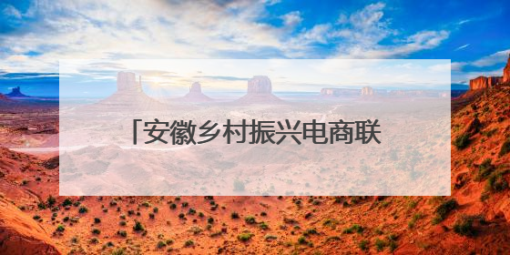 安徽乡村振兴电商联盟亮相深圳文博会