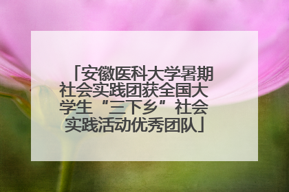 安徽医科大学暑期社会实践团获全国大学生“三下乡”社会实践活动优秀团队