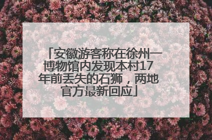 安徽游客称在徐州一博物馆内发现本村17年前丢失的石狮，两地官方最新回应