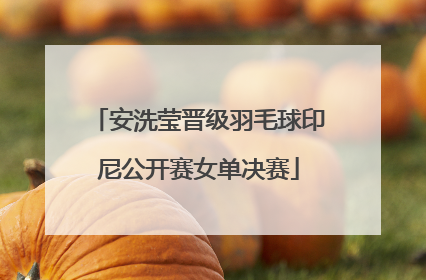 安洗莹晋级羽毛球印尼公开赛女单决赛