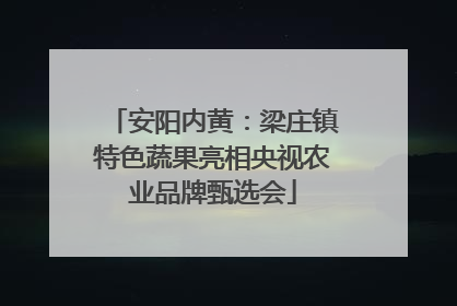 安阳内黄：梁庄镇特色蔬果亮相央视农业品牌甄选会