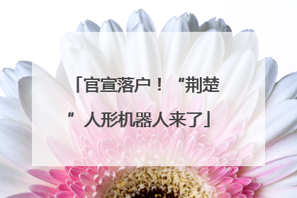 官宣落户！“荆楚”人形机器人来了