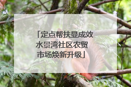 定点帮扶显成效 水景湾社区农贸市场焕新升级