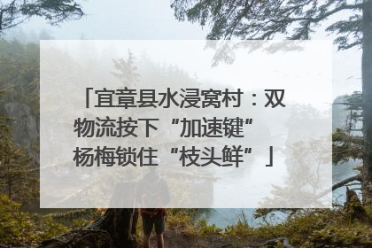 宜章县水浸窝村：双物流按下“加速键” 杨梅锁住“枝头鲜”