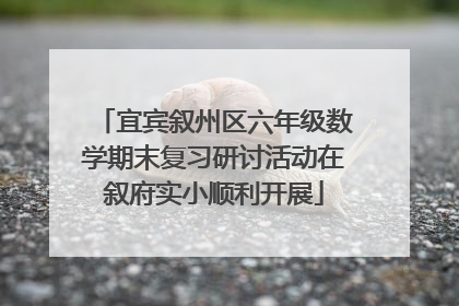 宜宾叙州区六年级数学期末复习研讨活动在叙府实小顺利开展