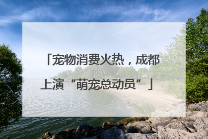 宠物消费火热，成都上演“萌宠总动员”