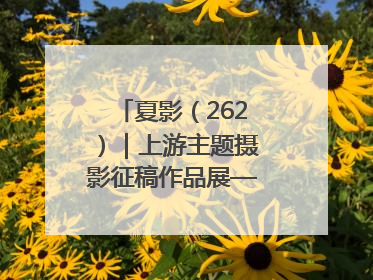 夏影（262）｜上游主题摄影征稿作品展——黄红专作品