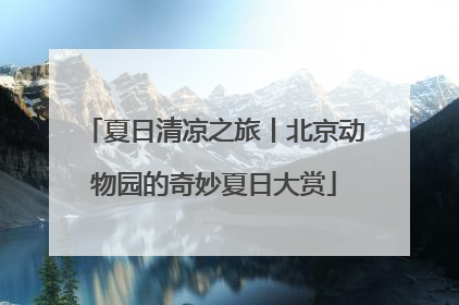 夏日清凉之旅丨北京动物园的奇妙夏日大赏