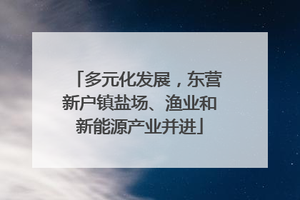 多元化发展，东营新户镇盐场、渔业和新能源产业并进