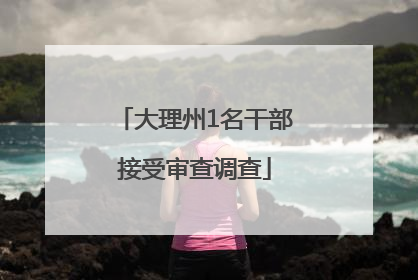 大理州1名干部接受审查调查