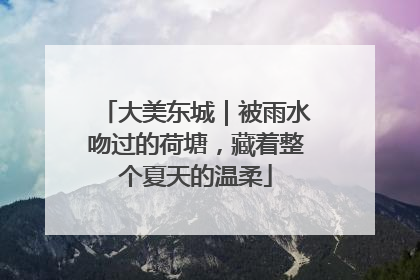大美东城｜被雨水吻过的荷塘，藏着整个夏天的温柔