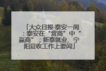 大众日报·泰安一周：泰安在“营商”中“赢商”；新泰就业、宁阳夏收工作上要闻