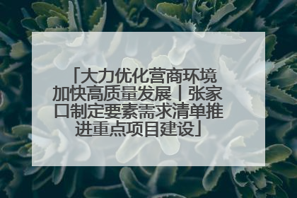 大力优化营商环境 加快高质量发展丨张家口制定要素需求清单推进重点项目建设